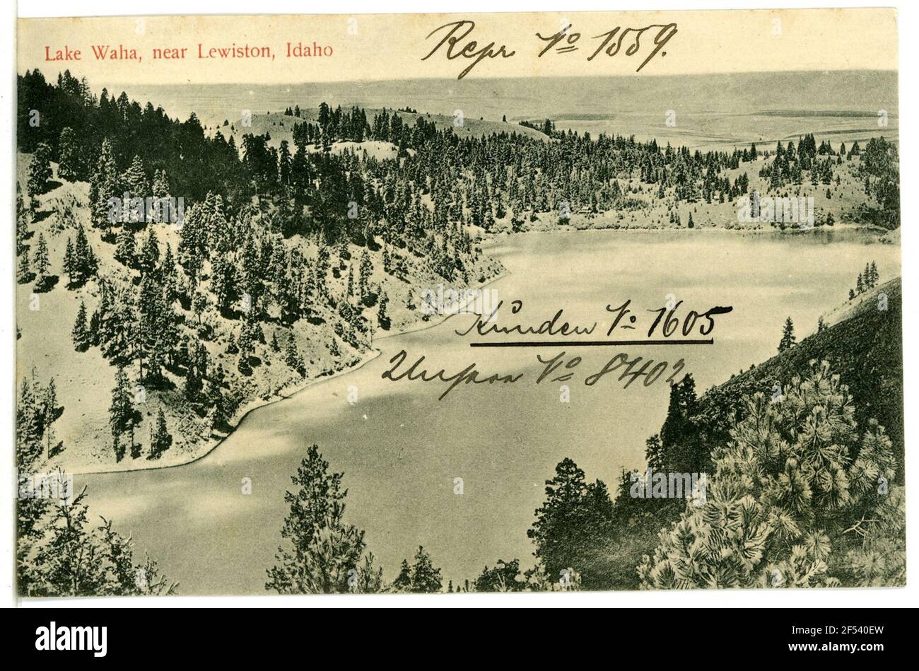 Waha Cut Out Stock Images & Pictures Alamy