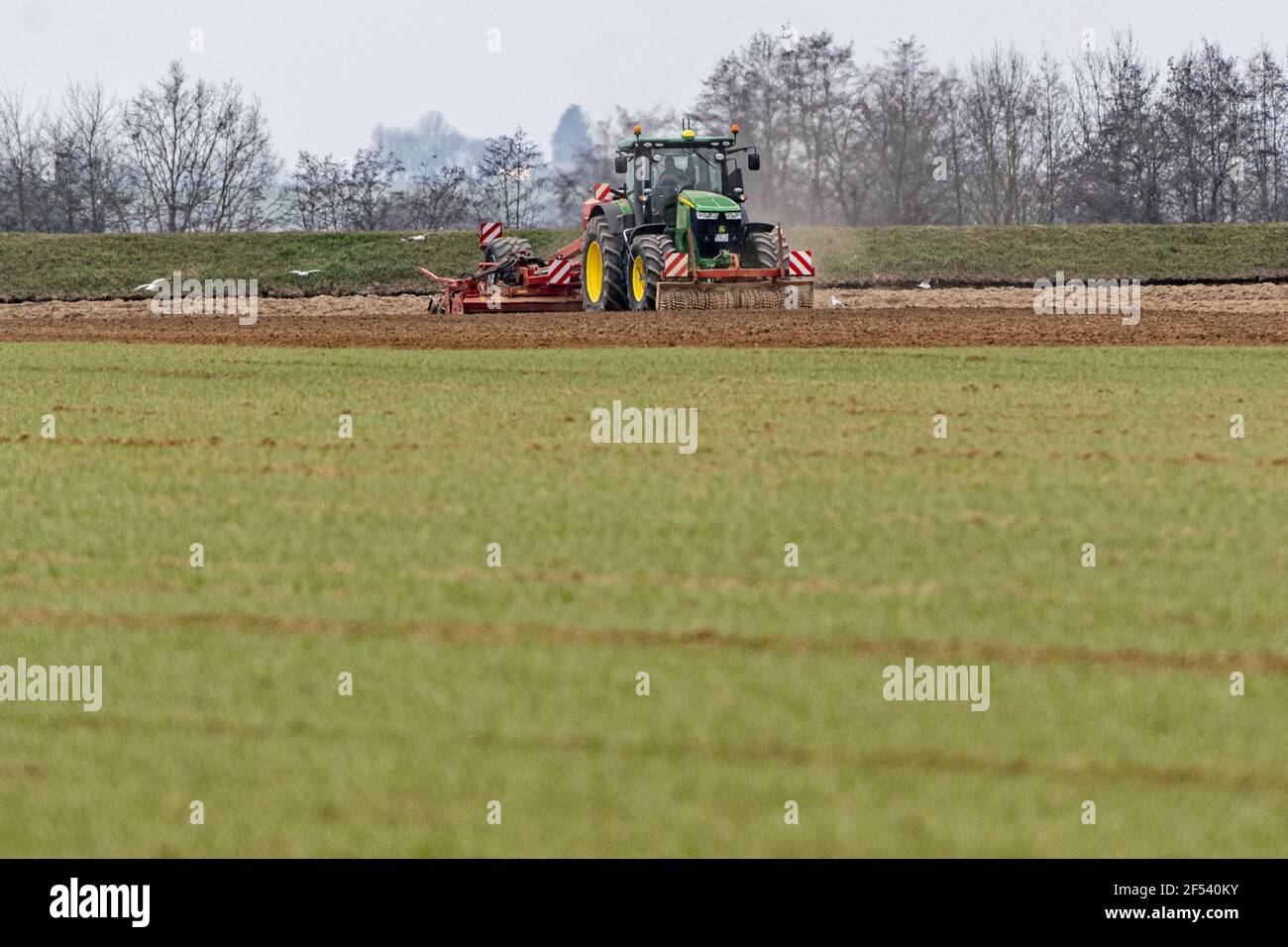 Feldkirchen, Germany. 24th Mar, 2021. Seeds of malting barley are grown in a field with a drill. Credit: Armin Weigel/dpa/Alamy Live News Stock Photo