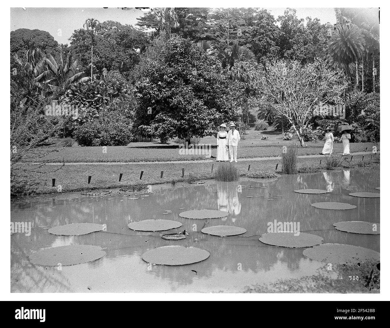 (Bogor), Java / Indonesia. Botanical Garden (1817, K. G. K