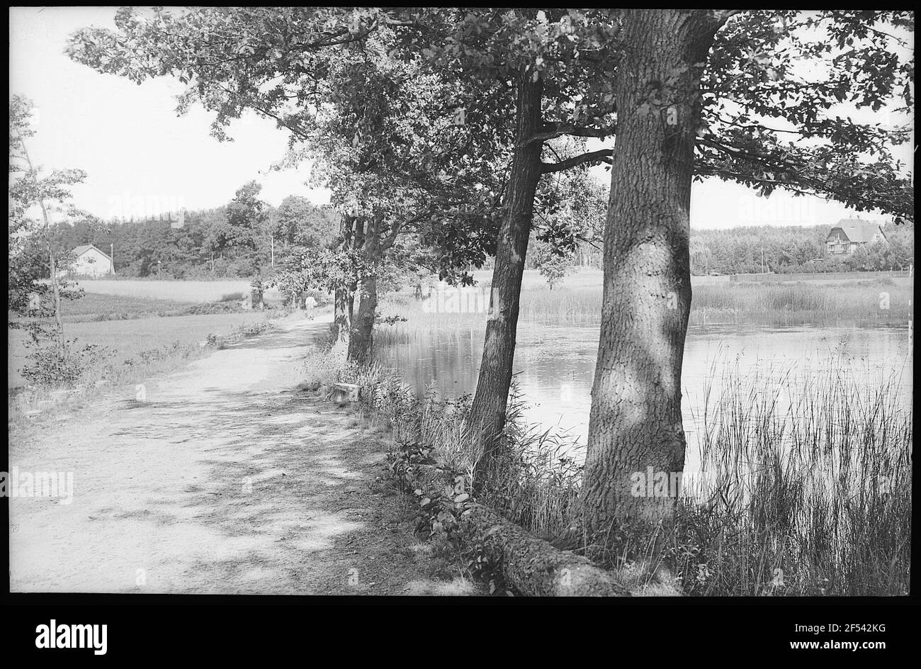 Old pond Black and White Stock Photos & Images - Alamy