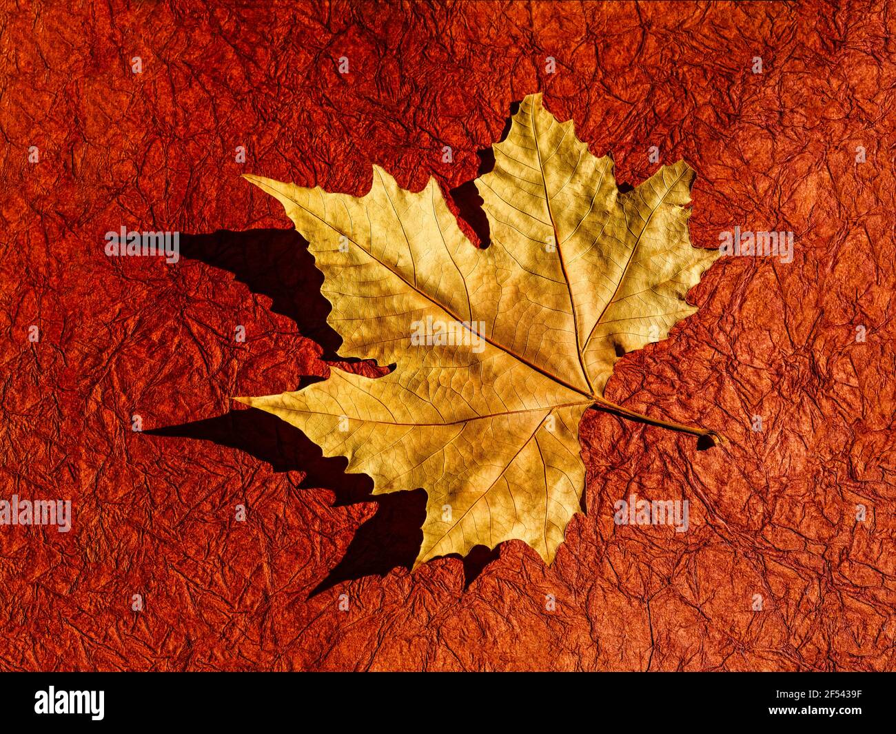 Autumn Stock Photo