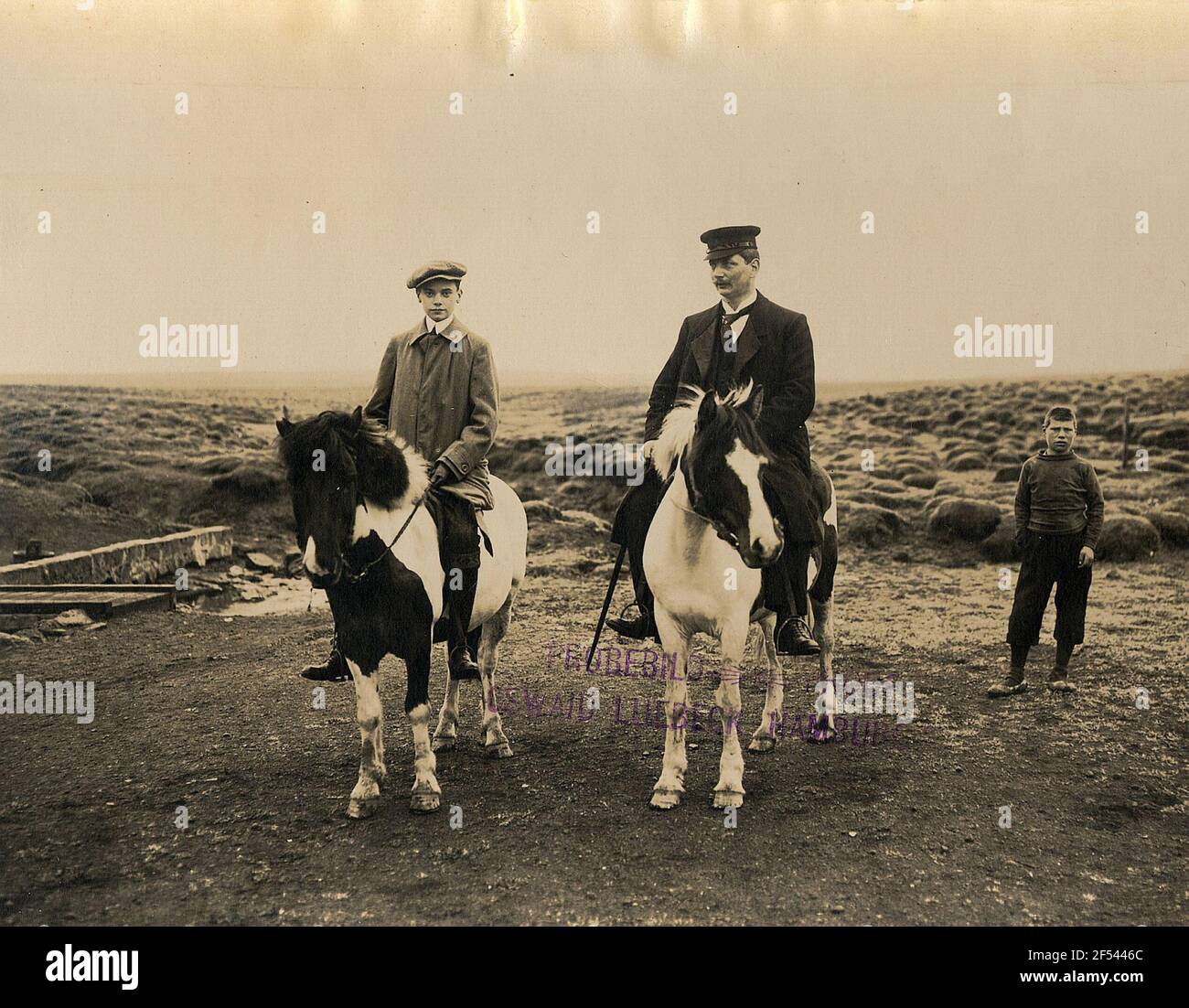 Reykjavik / Iceland pony riding, in the background Wide area Frost stroke ground Stock Photo