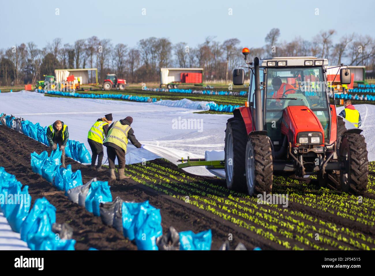 Permeable Crop Fabrics High Resolution Stock Photography and Images Alamy