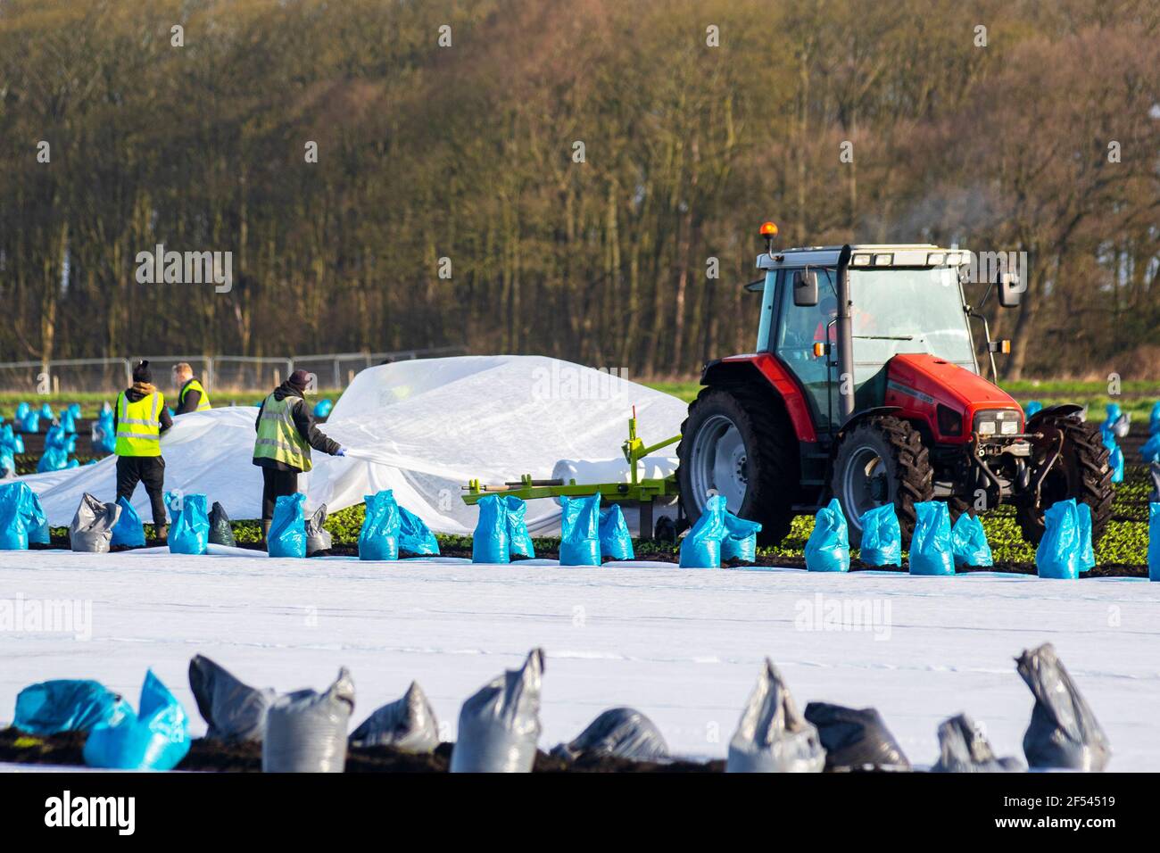 Permeable Crop Fabrics High Resolution Stock Photography and Images Alamy