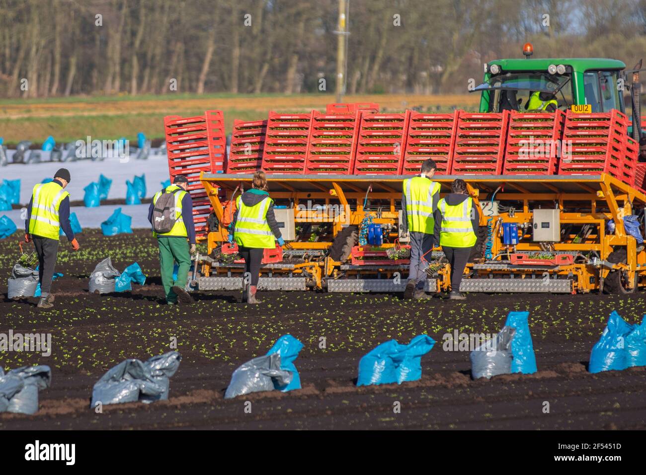 Permeable crop fabrics hires stock photography and images Alamy