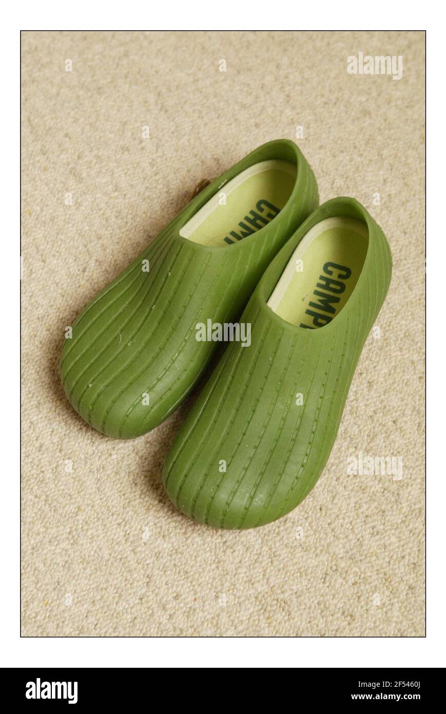 David green slippers best sale