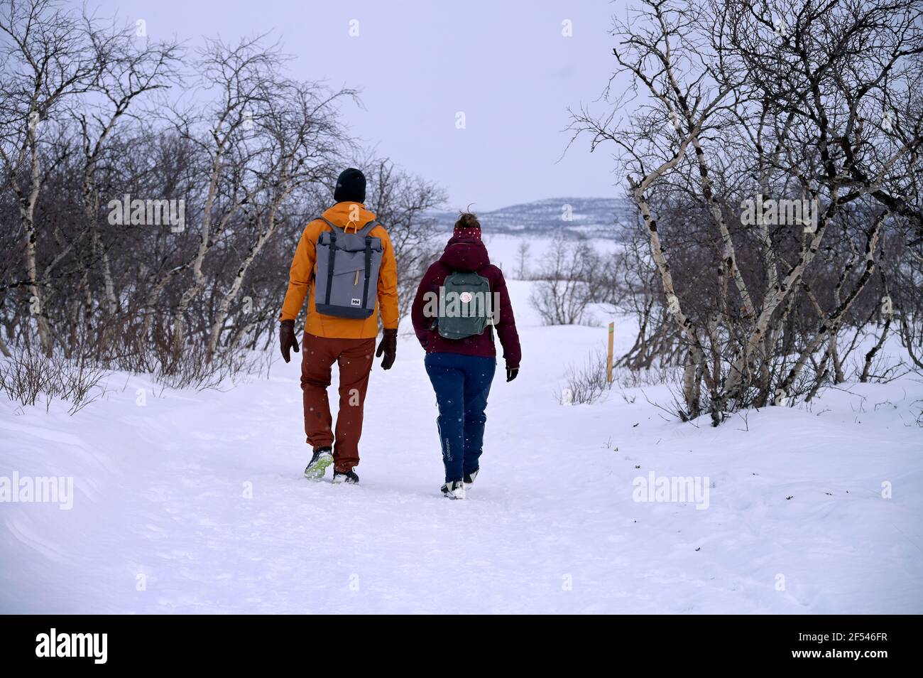 People hiking in Abisko National Park near STF Abisko Tourist Station ...