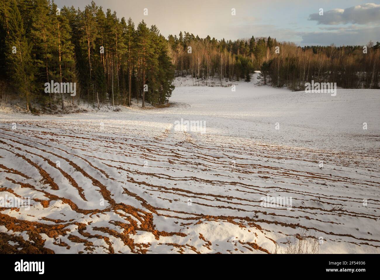 Snow covered plowed field, winter sunset Stock Photo