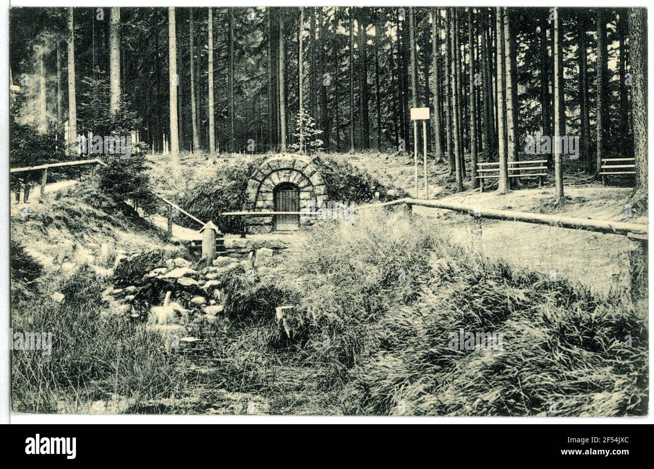 Grillenburger Wald, Warnsdorfer Quelle Grillenburg. Grillenburger Wald