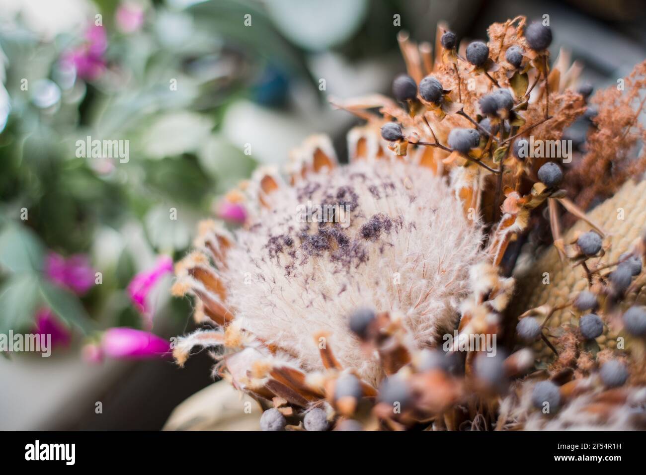 Rustic chic dried flowers hi-res stock photography and images - Alamy