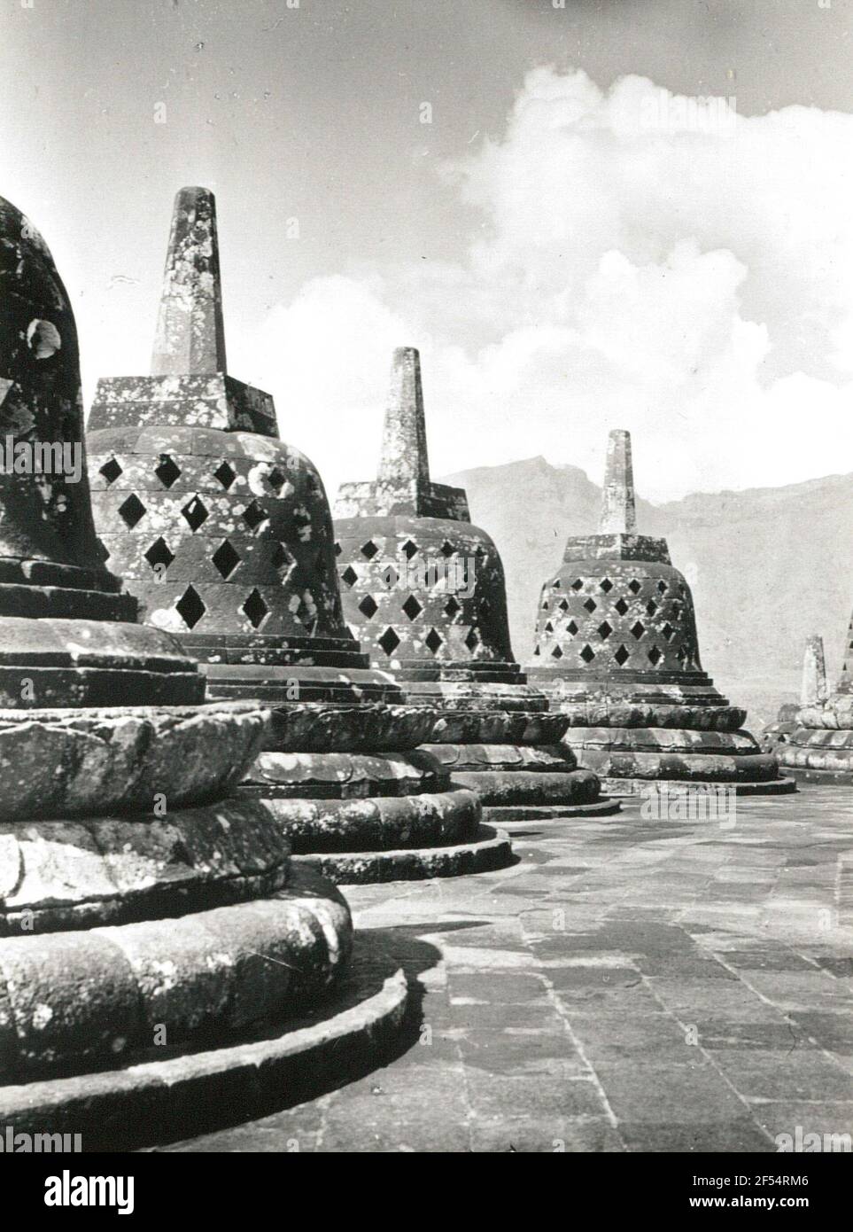 Indonesia, Java. Borobudur at Djogjakarta. Temple plant Borobudur ...