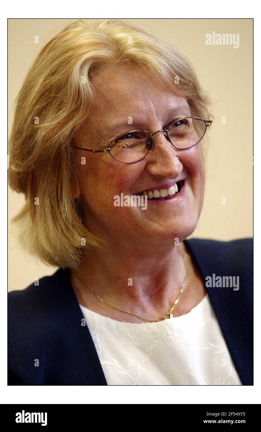 Dr. Ellie Johnson Searl, Director, Joint Council for Qualifications, JCQ.pic David Sandison 11/8/2004 Stock Photo
