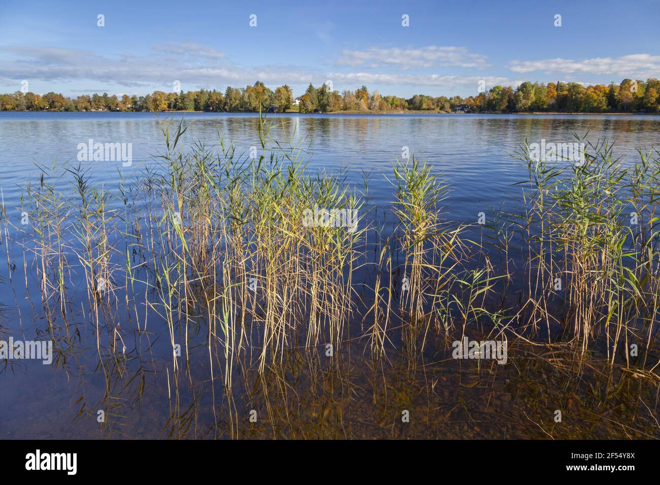 geography / travel, Germany, Bavaria, Murnau at Staffelsee (Lake Staffel), autumn at Staffelsee (Lake , Additional-Rights-Clearance-Info-Not-Available Stock Photo