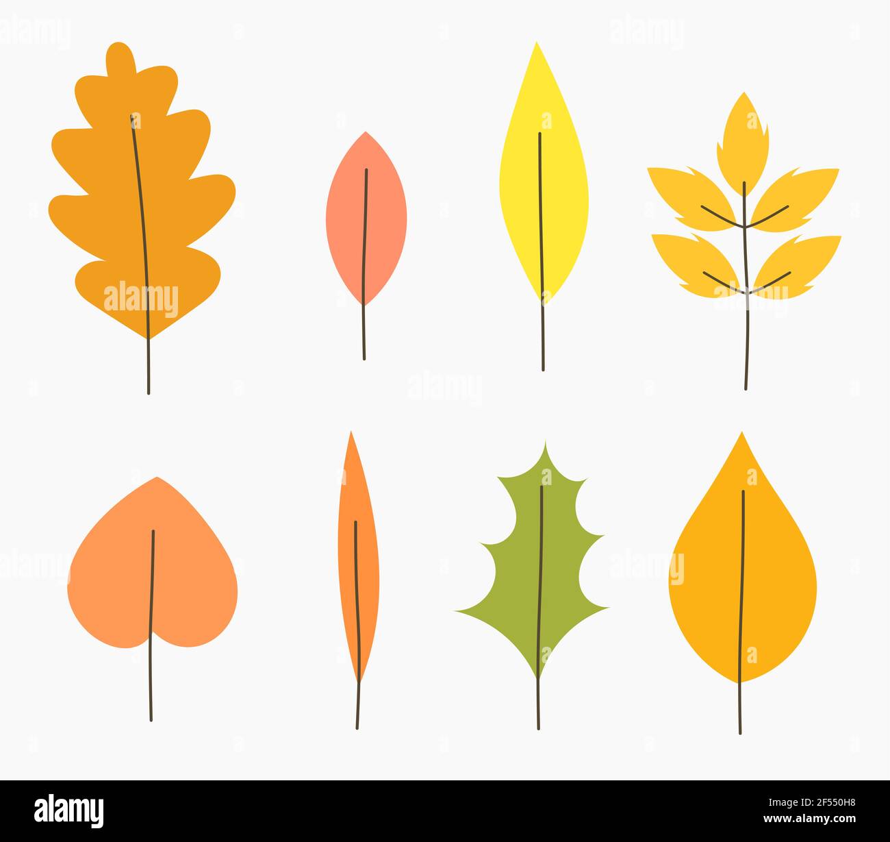 Autumn leaves illustration Stock Vector Image & Art - Alamy