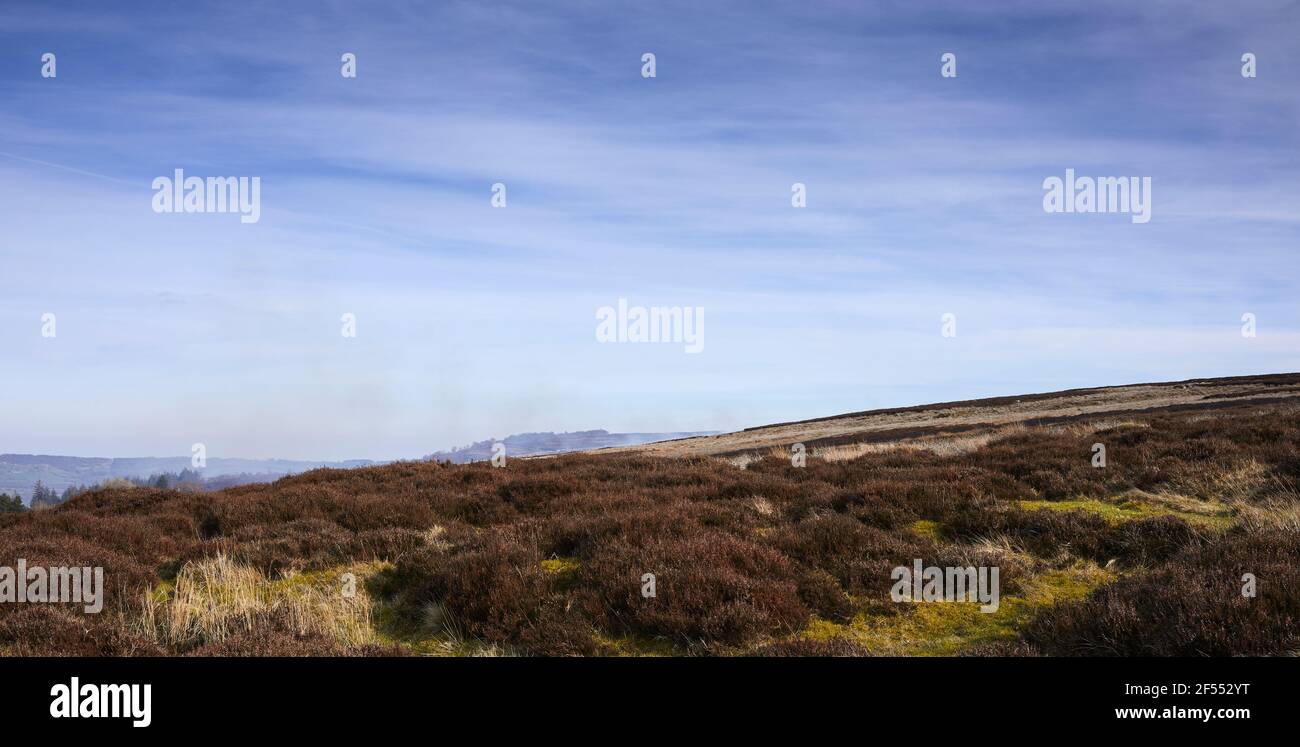In March, smoke fills the air duriing heather burning on the grouse moorland in Yorkshire Stock Photo
