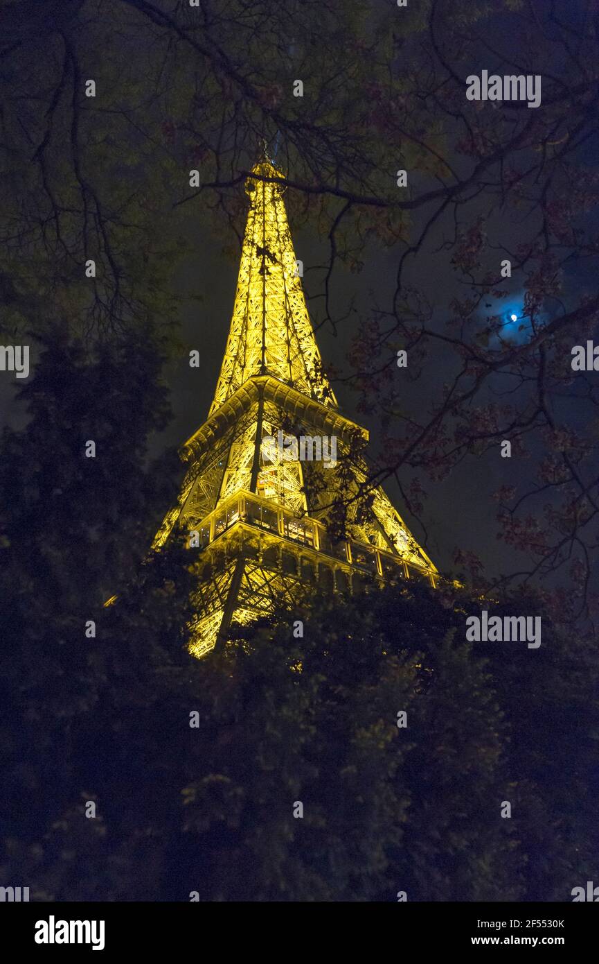 Eiffel tower seen through tree branches at night Stock Photo