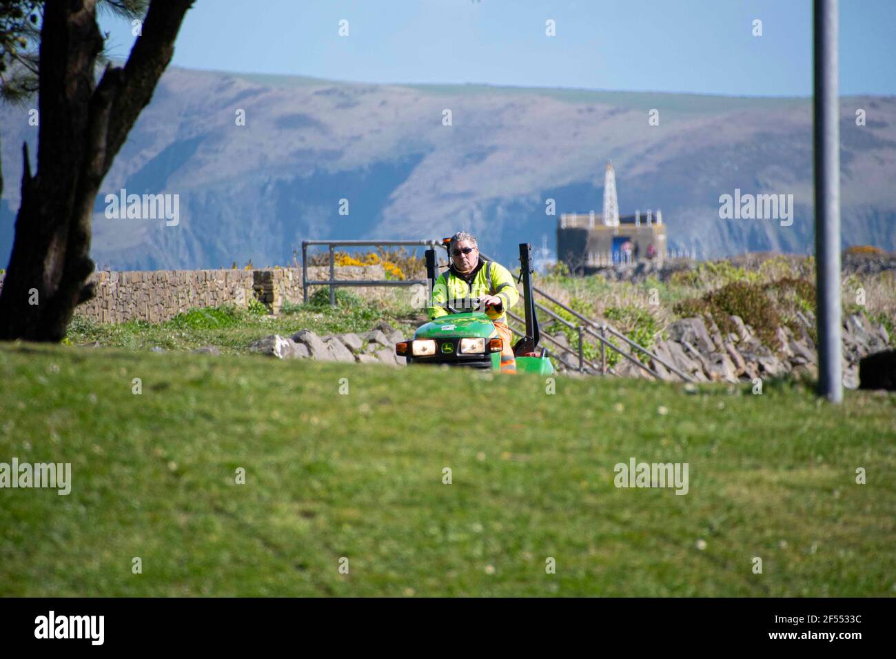Fishguard, Pembrokeshire, uk .24 March  2021. Workers in their  high vis jackets ride  on grass cutters  as  more visitors  arrive ,Pembrokeshire County Council therefore has a difficult  to strike a balance as some cutting is essential for safety purposes, yet it is very keen to see al wild wildlife thrive wherever possible.  . Credit: Debra Angel/Alamy Live News Stock Photo