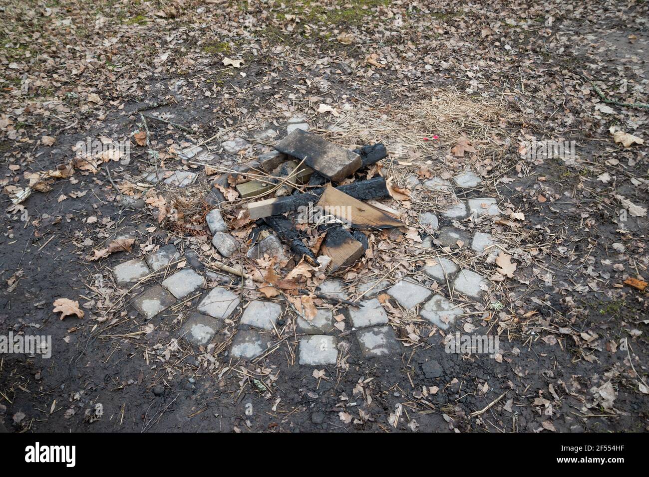 Fireplace in the recreation park with burnt wood logs and coals. A stone pavement around the campfire. Autumn day. Stock Photo