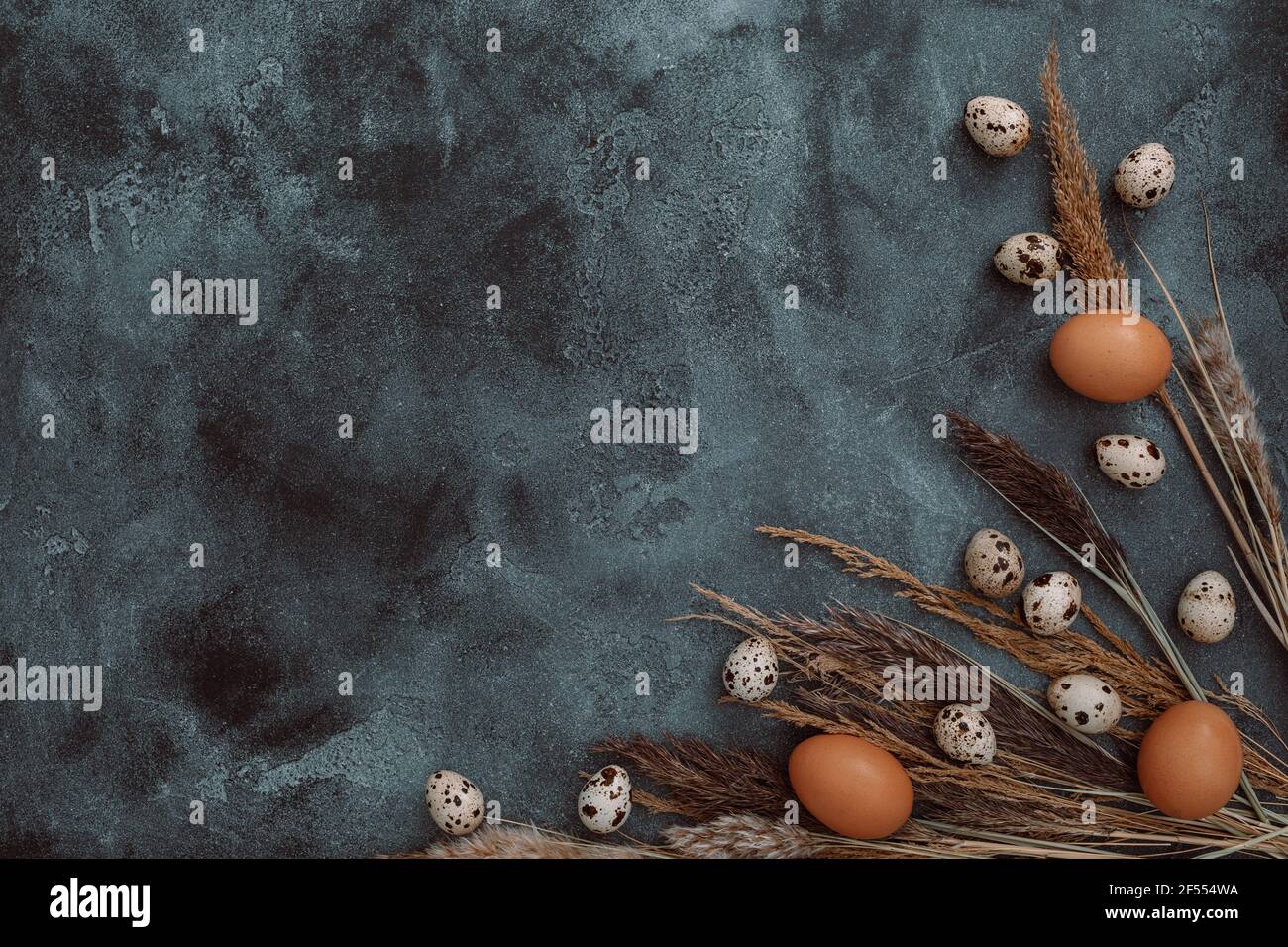 Eggs with reeds branches on dark. Flat lay, Top view. Easter composition with copy space Stock Photo