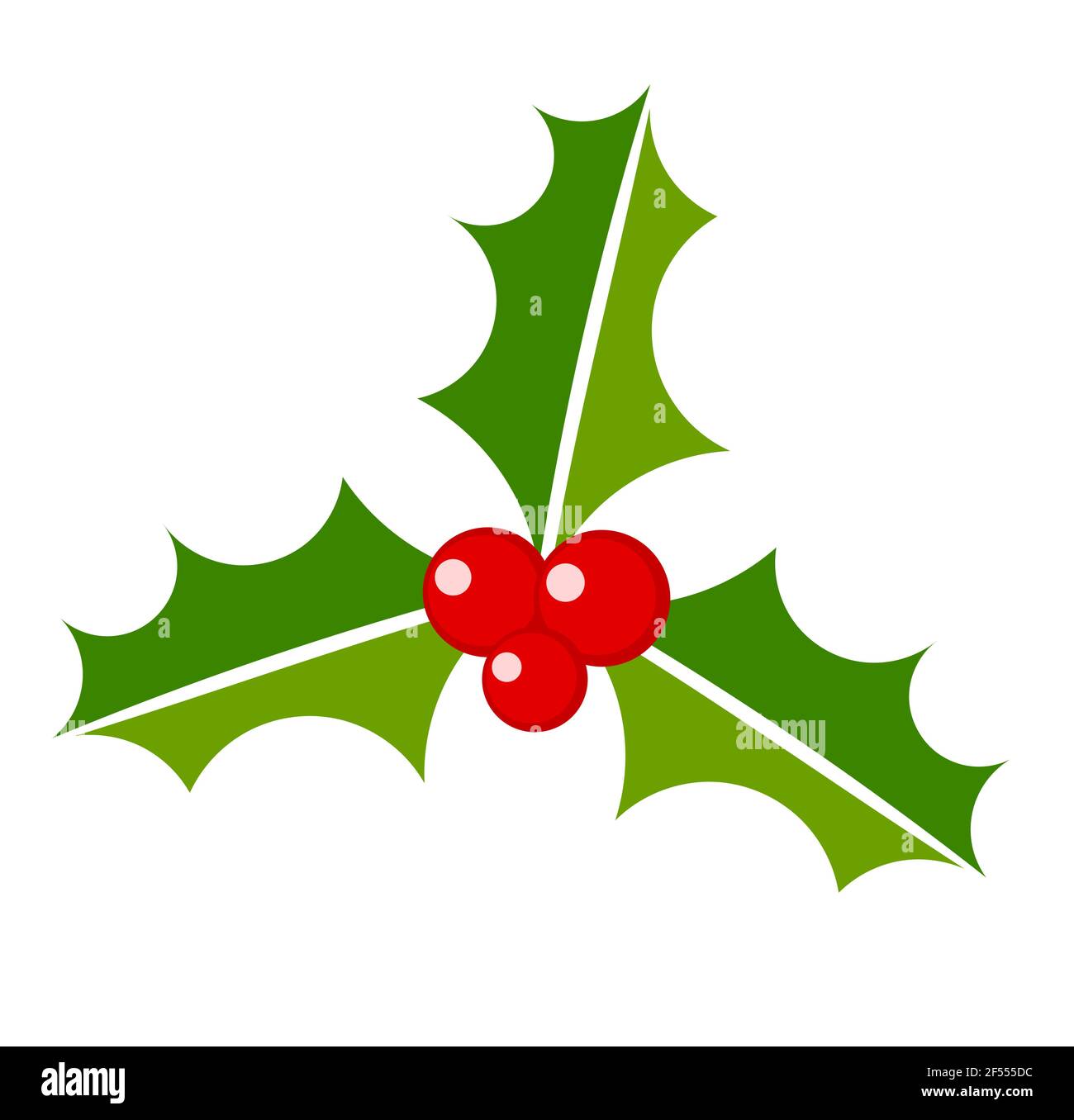 Christmas plant symbol holly berry. Vector illustration Stock Vector ...