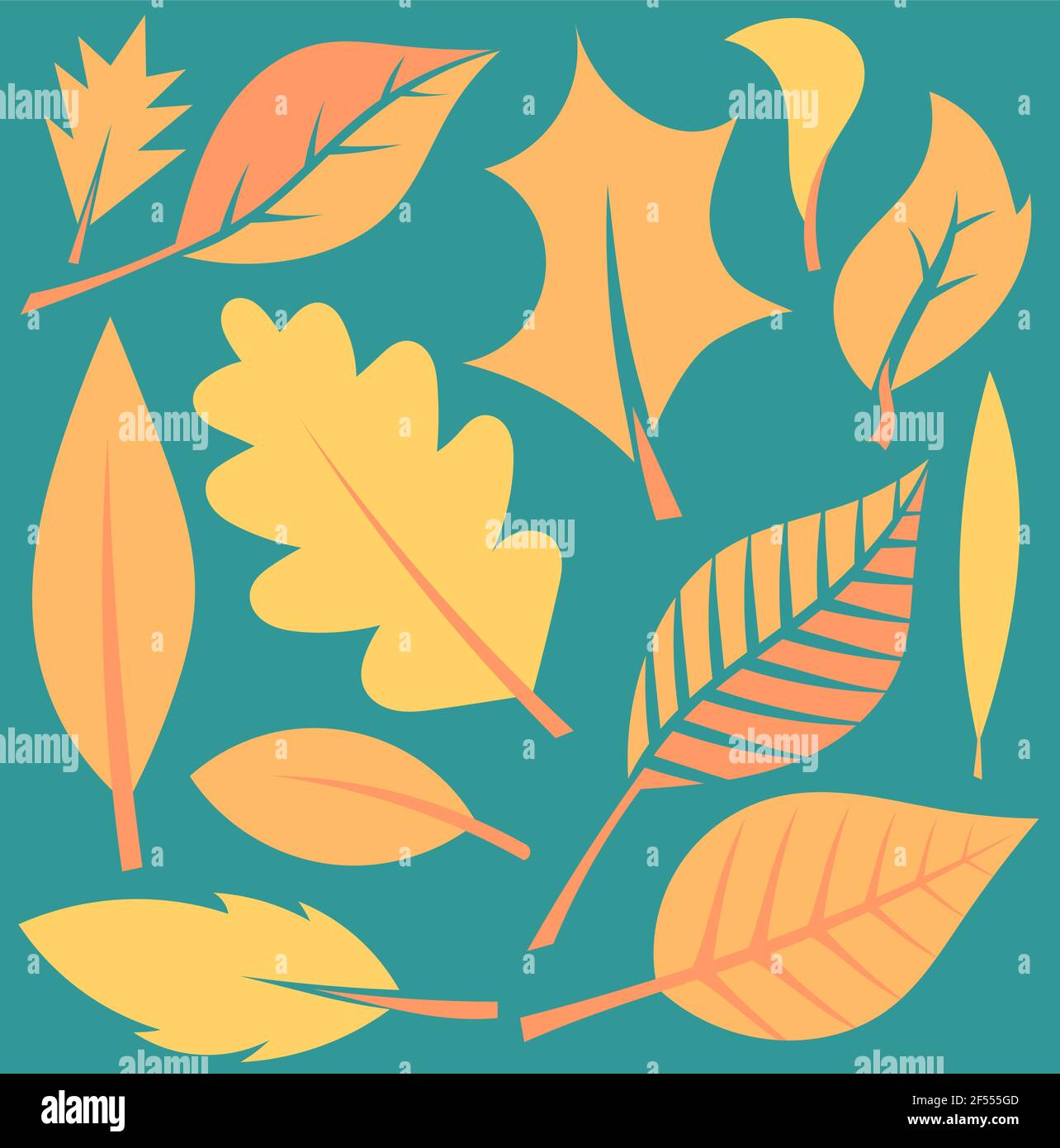 Autumn leaves illustration Stock Vector Image & Art - Alamy
