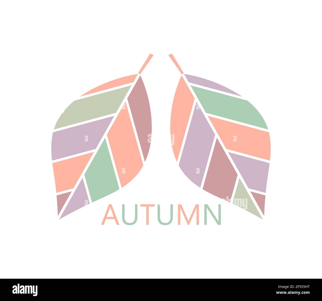 Autumn leaves. Vector illustration Stock Vector Image & Art - Alamy