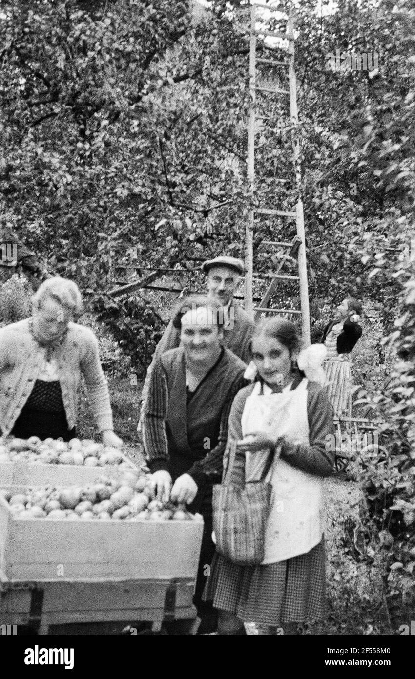 private-recordings-apple-stock-photo-alamy