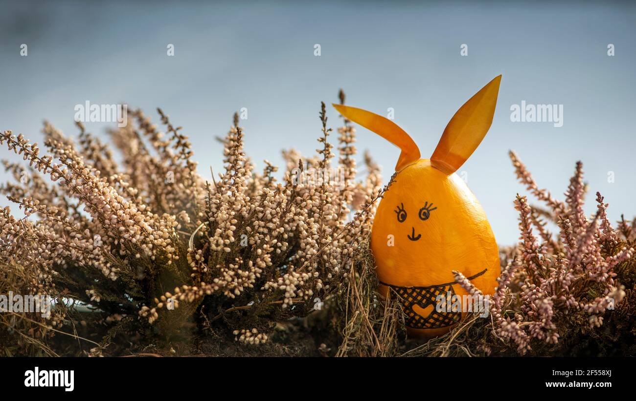 Easter egg bunny looking inside window. Easter is coming idea. Wide banner. Stock Photo