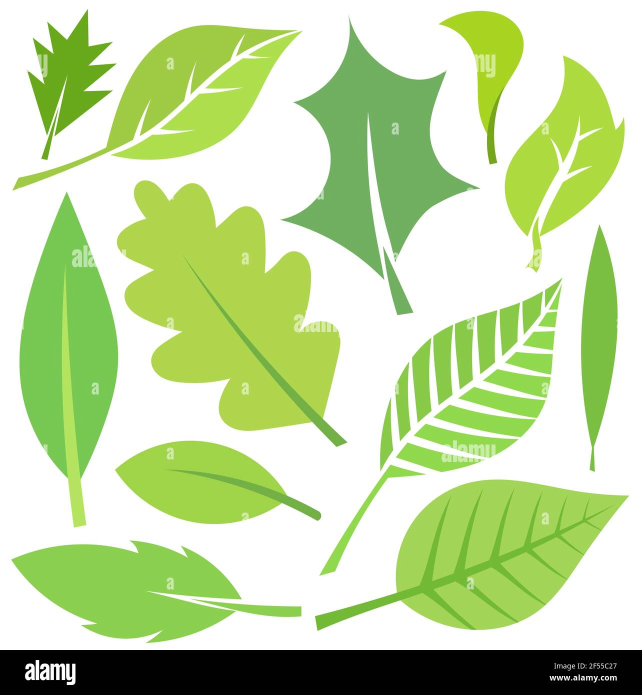 Green leaves collection. Vector illustration Stock Vector Image & Art ...