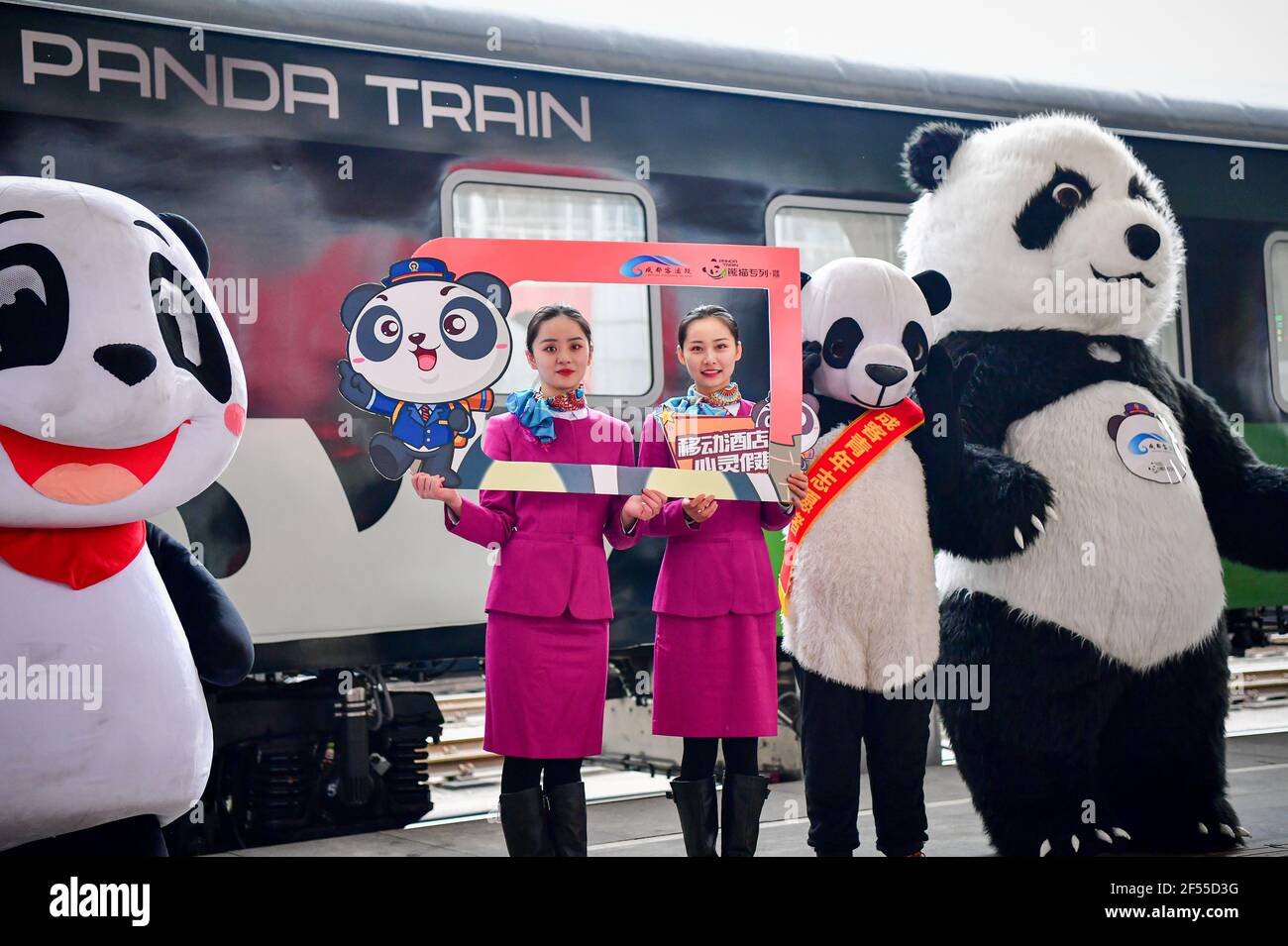 (210324) -- CHENGDU, March 24, 2021 (Xinhua) -- Stewardesses pose in front of the 'panda train' in southwest China's Sichuan Province, March 24, 2021. China's first panda-themed tourist train 'panda train' started trial run in Sichuan on Wednesday and will start operation on March 28. Transformed from a normal train, the 'panda train' features upgraded standards inclucing 5G wireless network coverage, music and video entertainment system, restaurant and bar, chess and card room and private toilets with constant temperature shower in sleeping carriages. The 'panda train' will serve on fixe Stock Photo