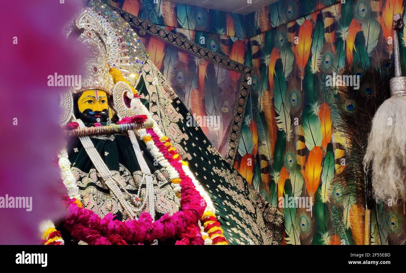 shyam baba holi