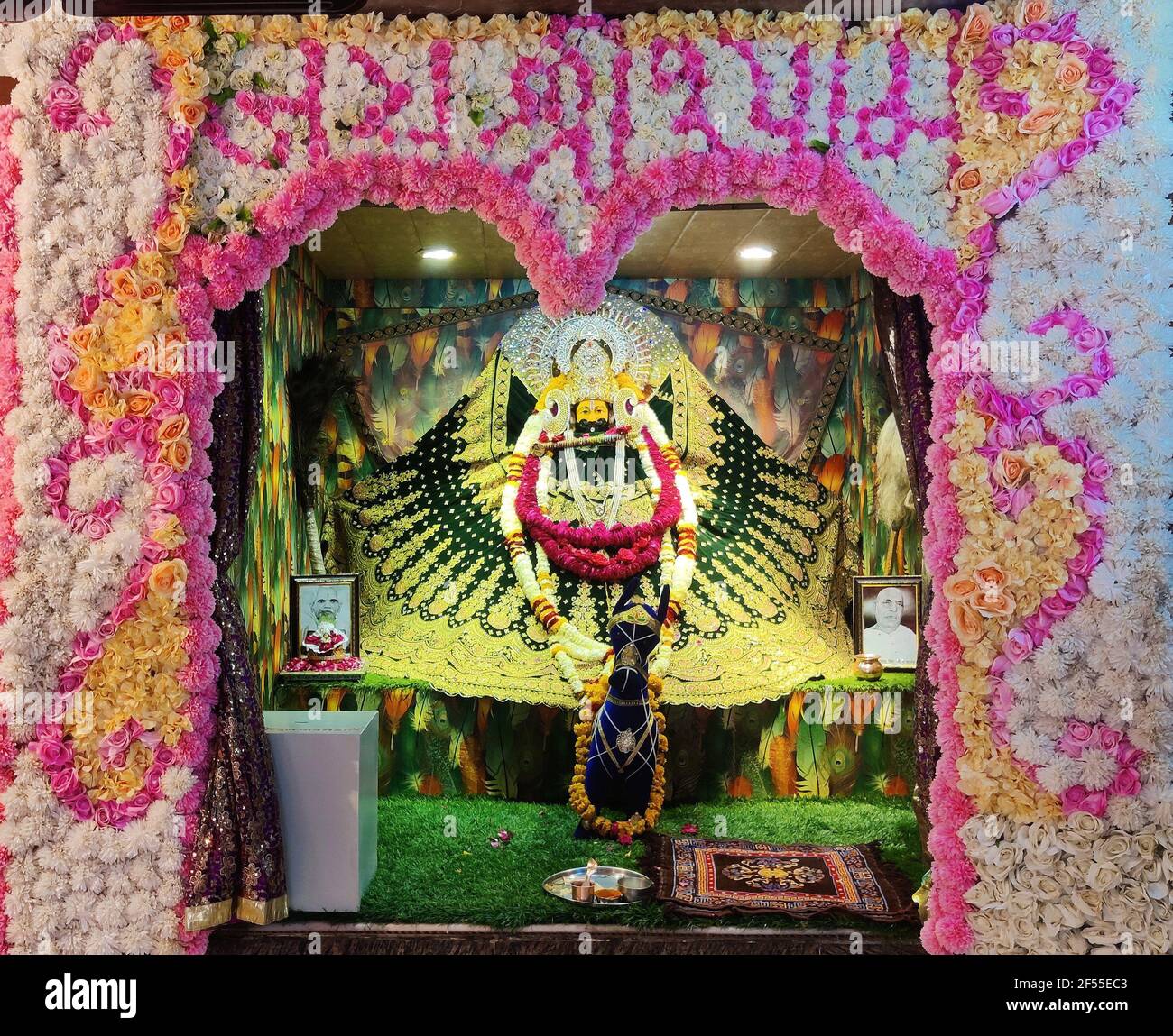 shyam baba holi