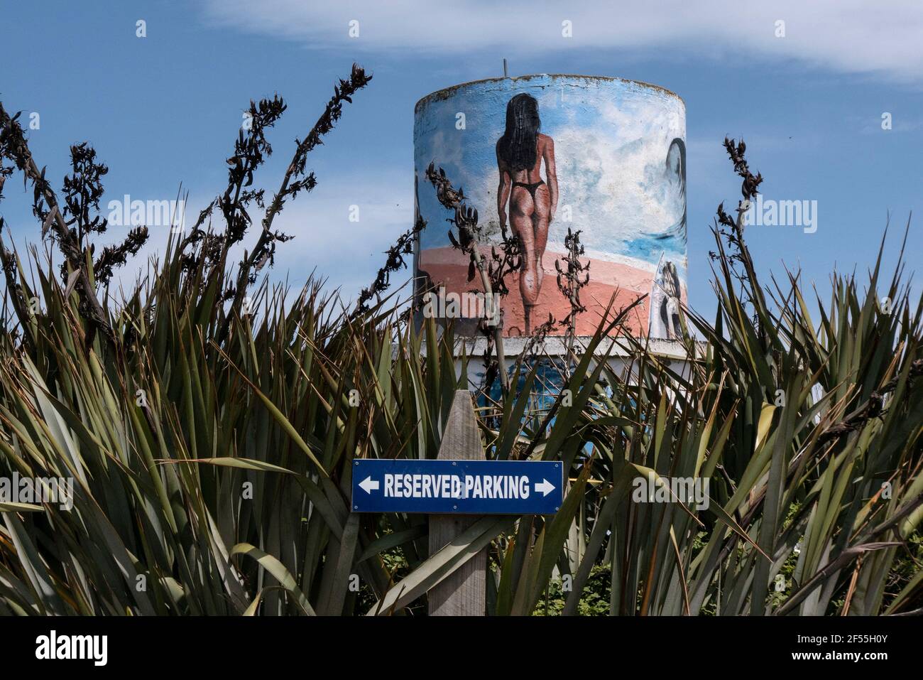 Waikawa, Neuseeland. 30th Dec, 2018. Scene on the beach on the Meereskueste (ocean coast) (Pacific) in the south-eastern (south-eastern) part of the south island near Waikawa; an advertising column (Litfasssaule, Litfasssaule) with a paining, painting that shows a woman in a bikini from behind; Sea, coast (coast), sexist, sexism; on December 30, 2018 in New Zealand; | usage worldwide Credit: dpa/Alamy Live News Stock Photo