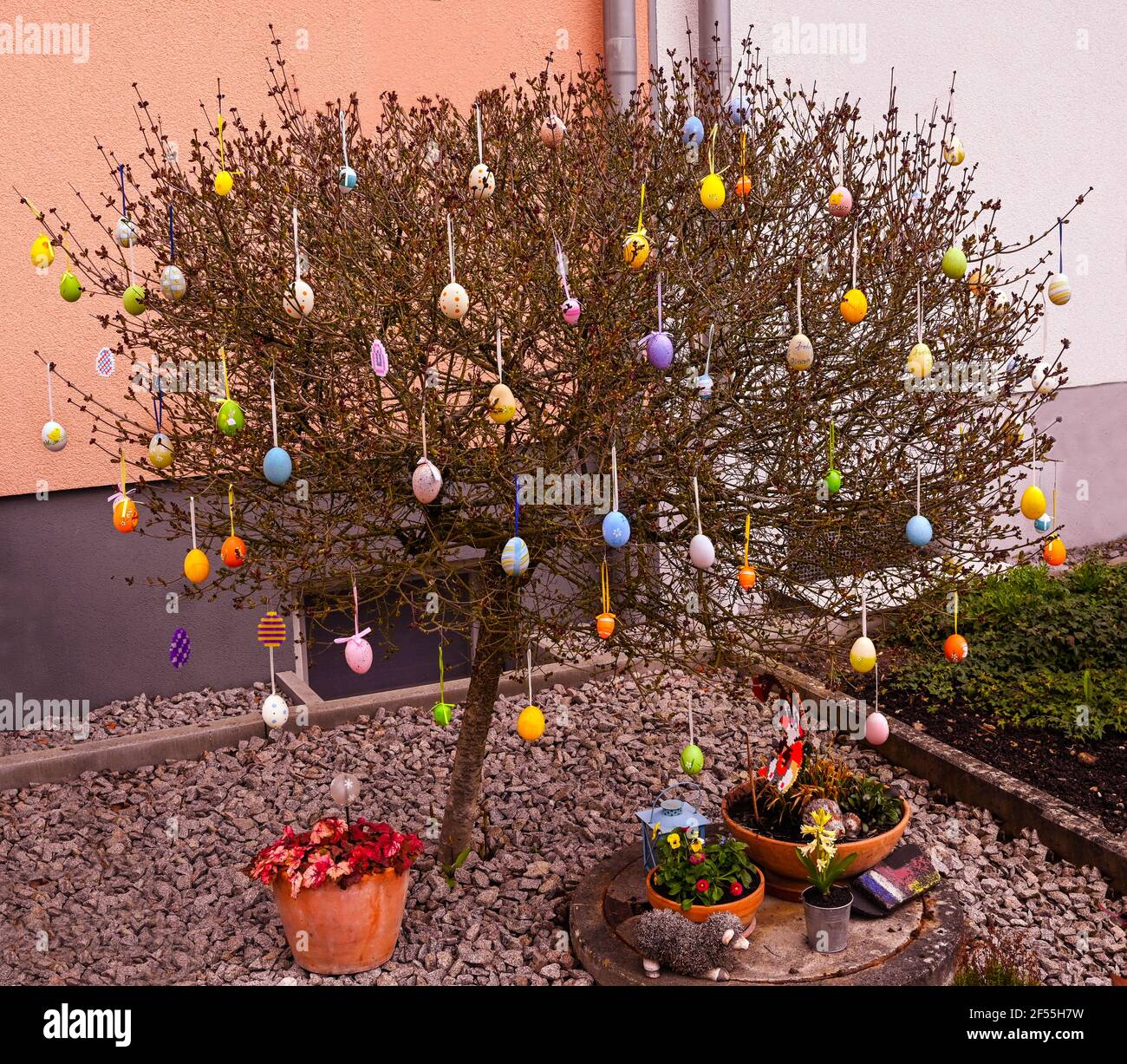 Easter tree decorated with colorful Easter eggs Stock Photo