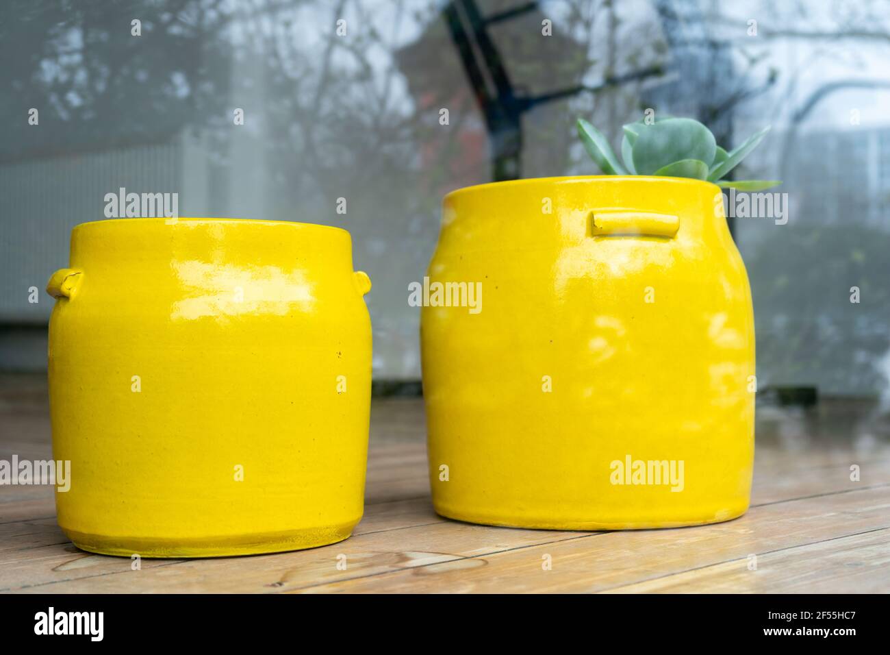Looking in a showcase with 2 large, yellow clay pots. With a lost little houseplant. Stock Photo