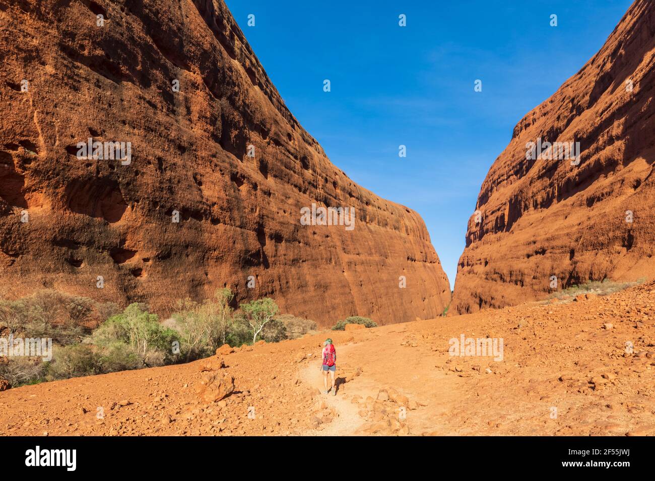 Australia, Northern Territory, Hiking at Uluru Kata Tjuta National Park in Central Australian Desert Stock Photo