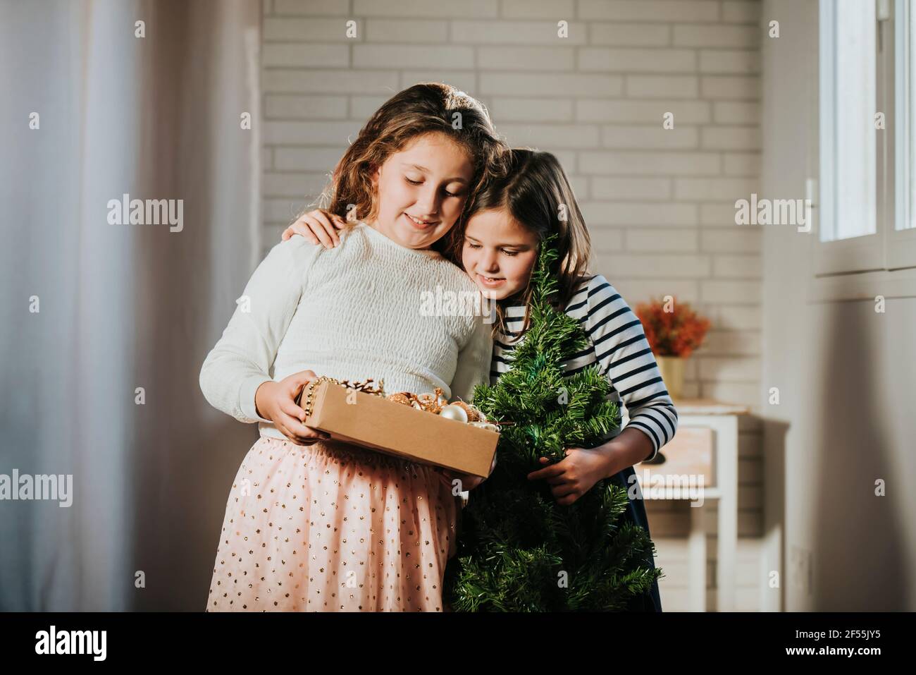 Girl with pine Christmas hugging sister holding Christmas decoration box at home Stock Photo