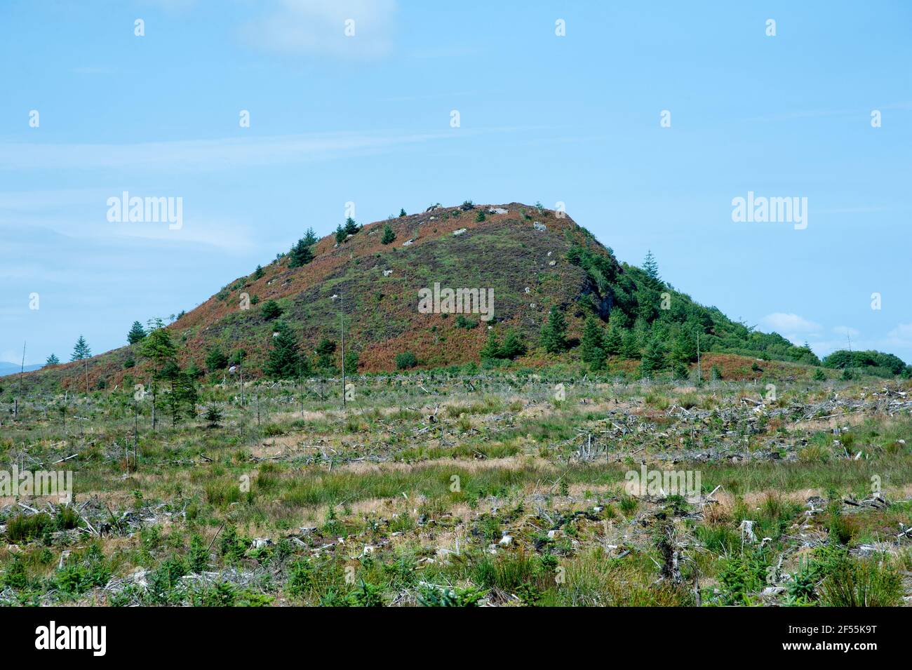 Big Dog Forest - View on Big Dog Hill, Northern Ireland, Stock Photo