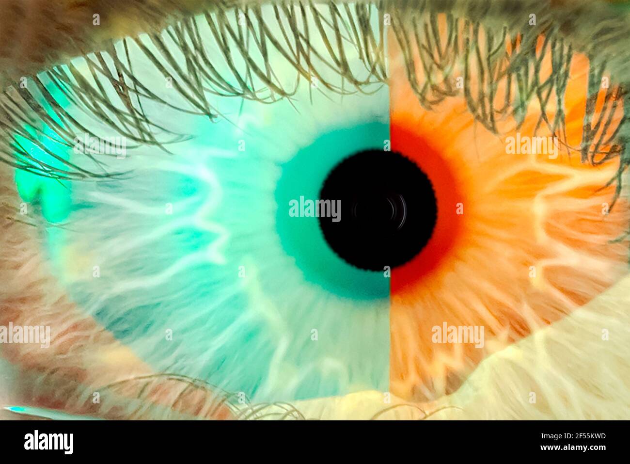 Digital composit of green eye  Stock Photo