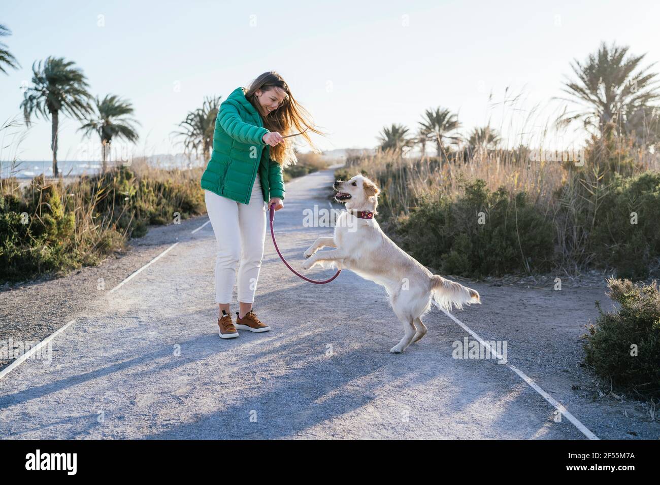 Woman giving obedience training to dog on road against sky during weekend Stock Photo