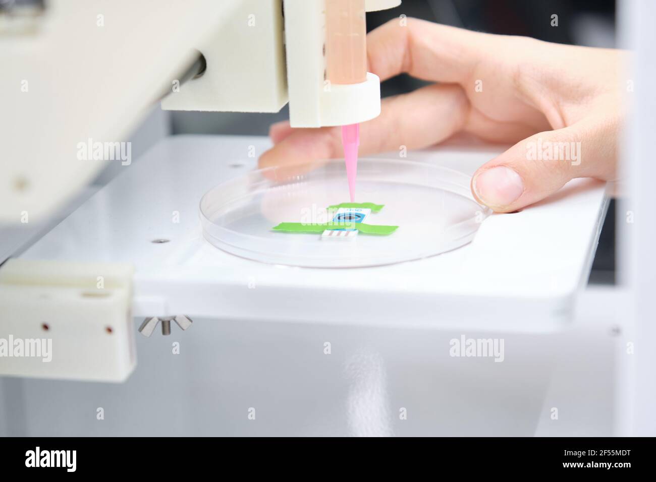 Researcher getting 3D bioprinter ready to 3D print cells onto an electrode. Biomaterials, tissue engineering concepts. Stock Photo