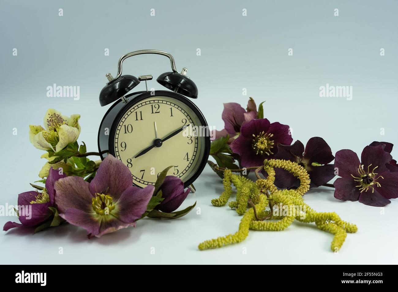 Vintage clock with spring flowers. Daylight saving time concept. Stock Photo