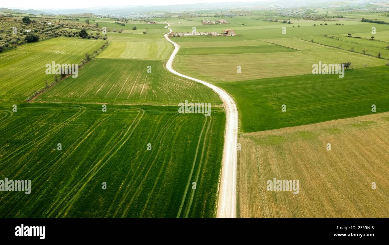 Green rural land with dirt road seen from drone Stock Photo