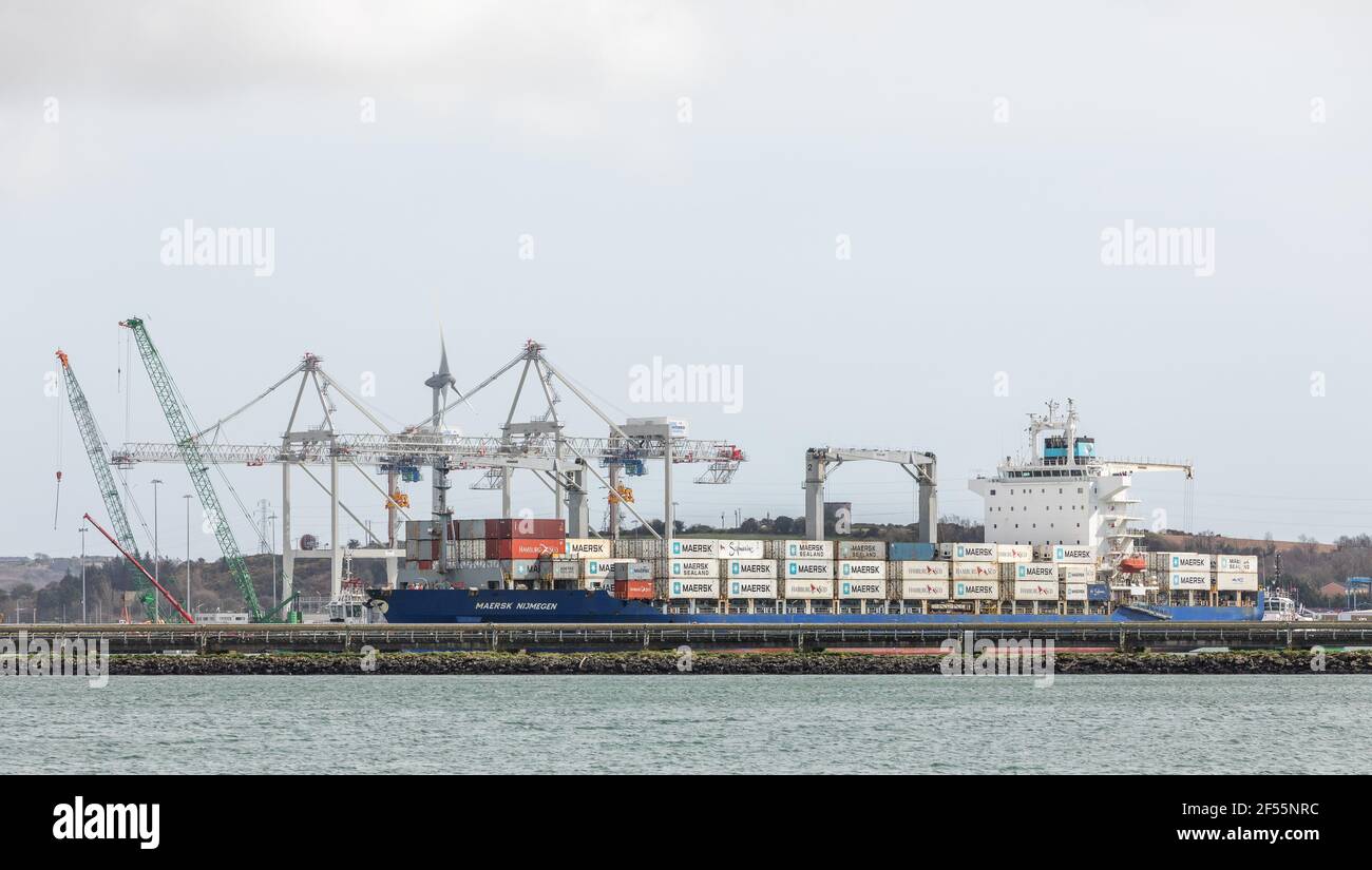 Ringaskiddy, Cork, Ireland. 24th March, 2021. After a ten day voyage from Costa Rico the container ship Maersk Nijmegen is about to tie up at the deepwater terminal in Ringaskiddy, Co. Cork, Ireland. - Credit; David Creedon / Alamy Live News Stock Photo