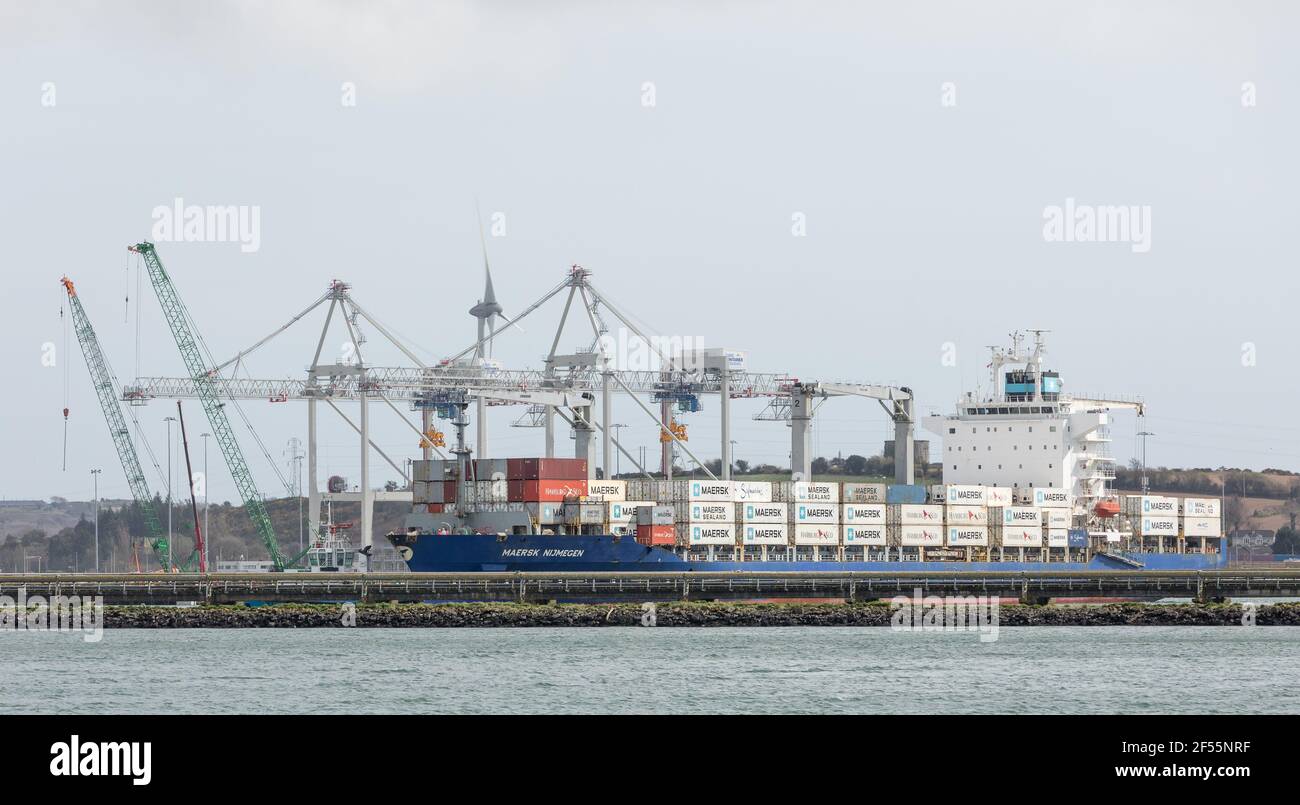Ringaskiddy, Cork, Ireland. 24th March, 2021. After a ten day voyage from Costa Rico the container ship Maersk Nijmegen is about to tie up at the deepwater terminal in Ringaskiddy, Co. Cork, Ireland. - Credit; David Creedon / Alamy Live News Stock Photo