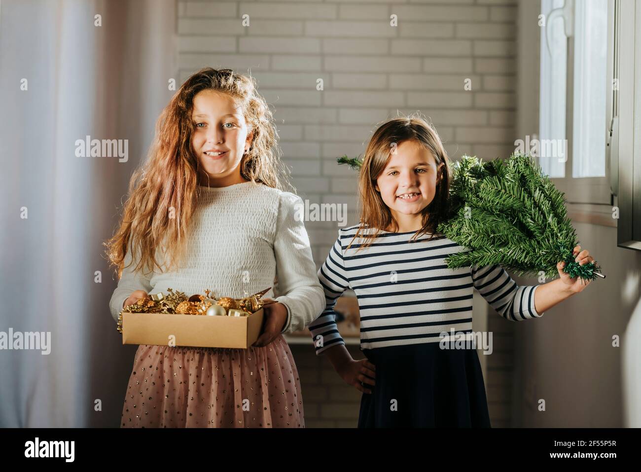 Smiling girl holding Christmas decoration box while sister carrying Christmas tree on shoulder standing at home Stock Photo