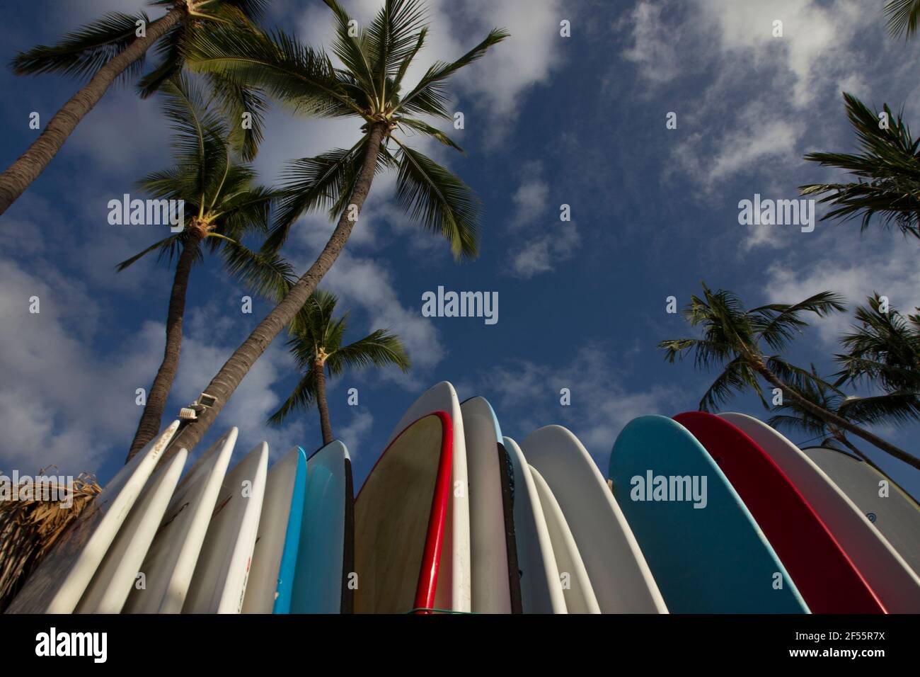 HILOBIG ISLANDHAWAII 20062014 Surfboards are seen together some