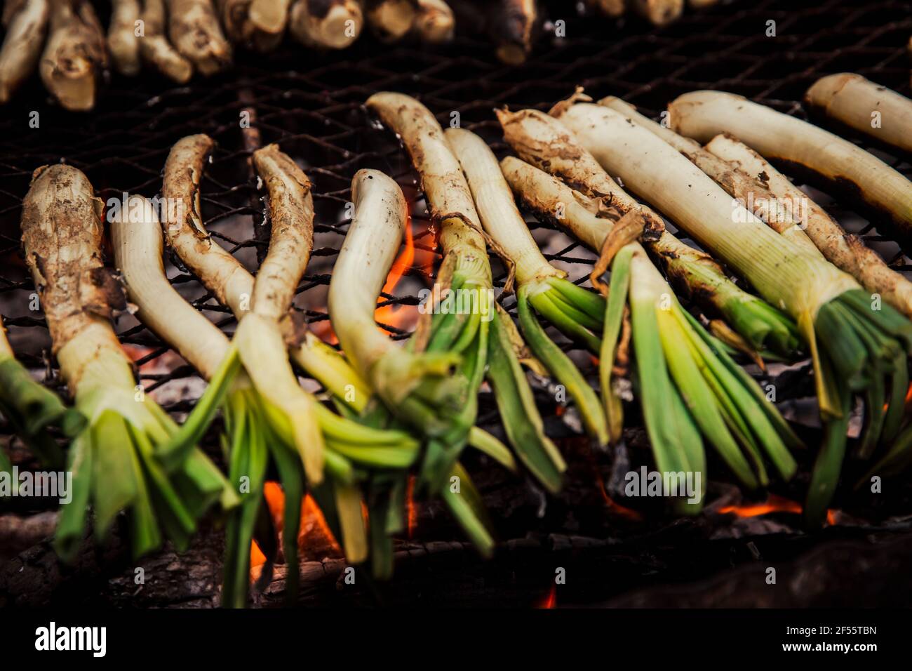 Scallions cooking on barbecue grill outdoors Stock Photo