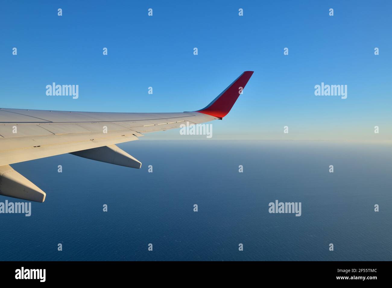 Clear wing hi-res stock photography and images - Alamy