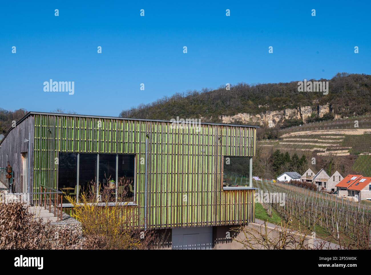 wine architecture in the Mosel valley, Jeff Konsbrück winery. Wormeldange, Luxemburg Stock Photo